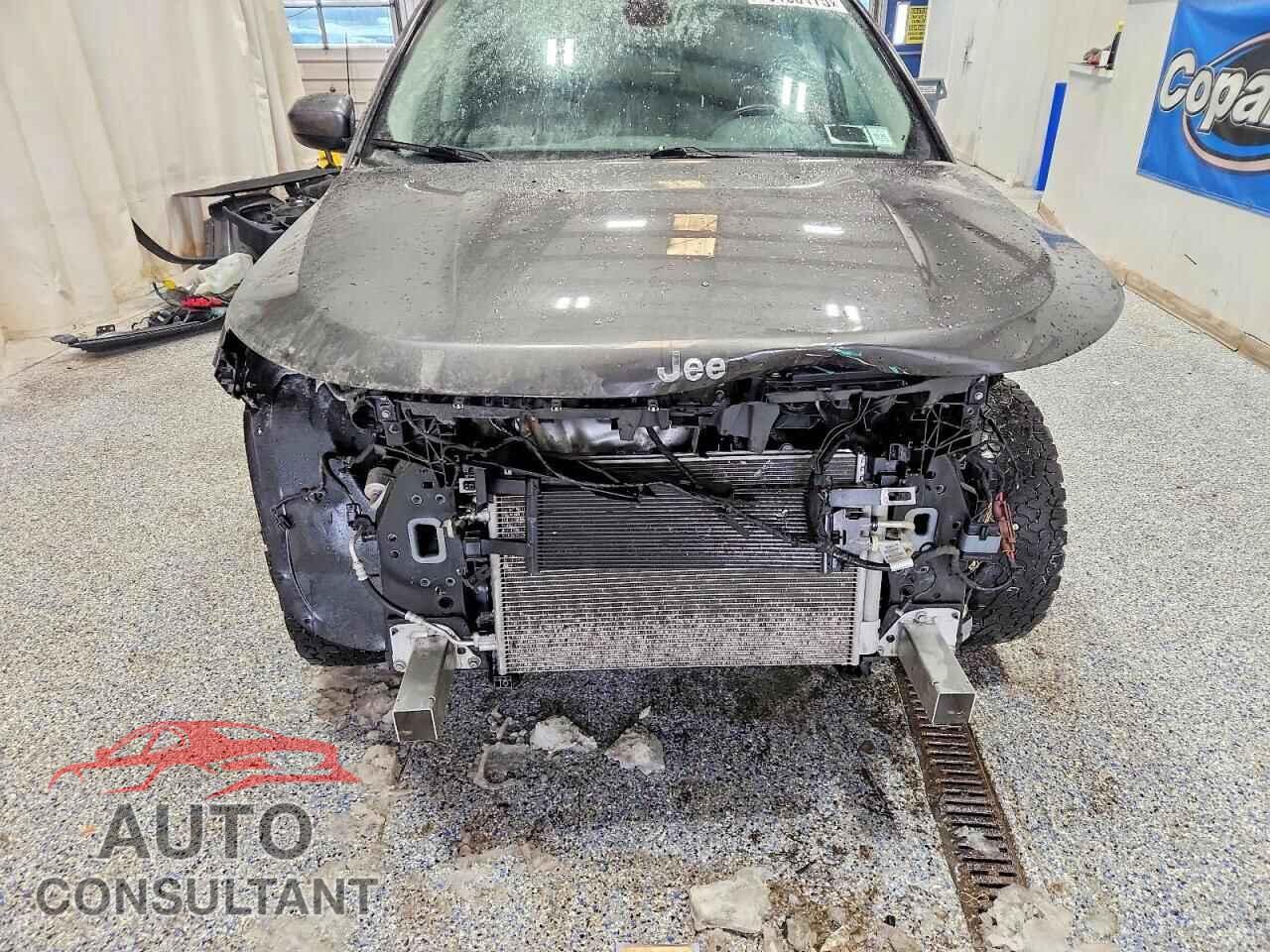 JEEP COMPASS 2019 - 3C4NJDBB5KT807533