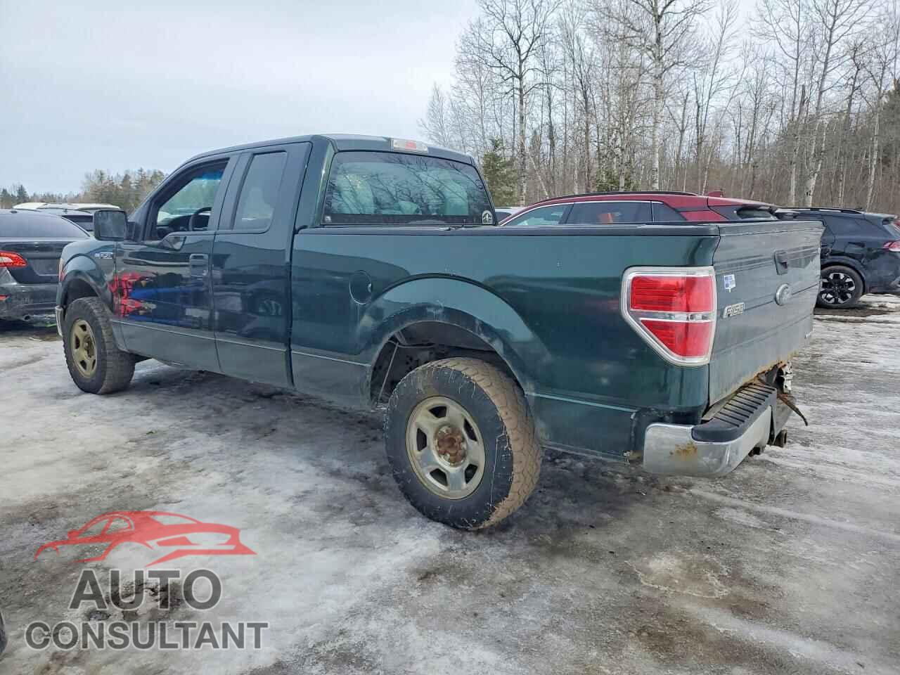 FORD F-150 2013 - 1FTEX1CM4DFD29244