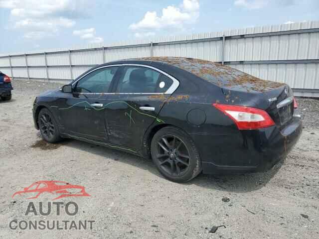NISSAN MAXIMA 2011 - 1N4AA5AP1BC842475