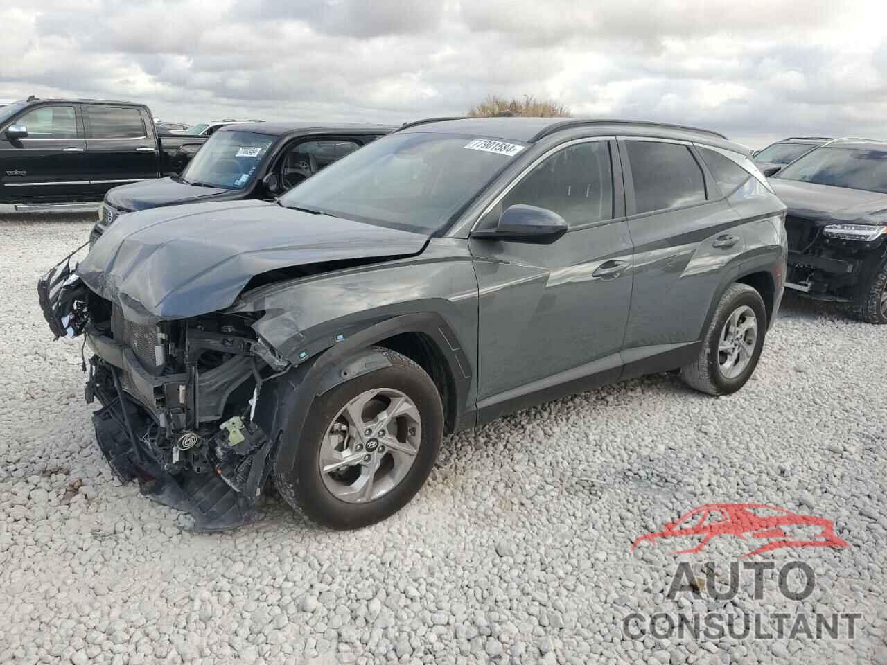 HYUNDAI TUCSON 2024 - 5NMJBCDE1RH300262