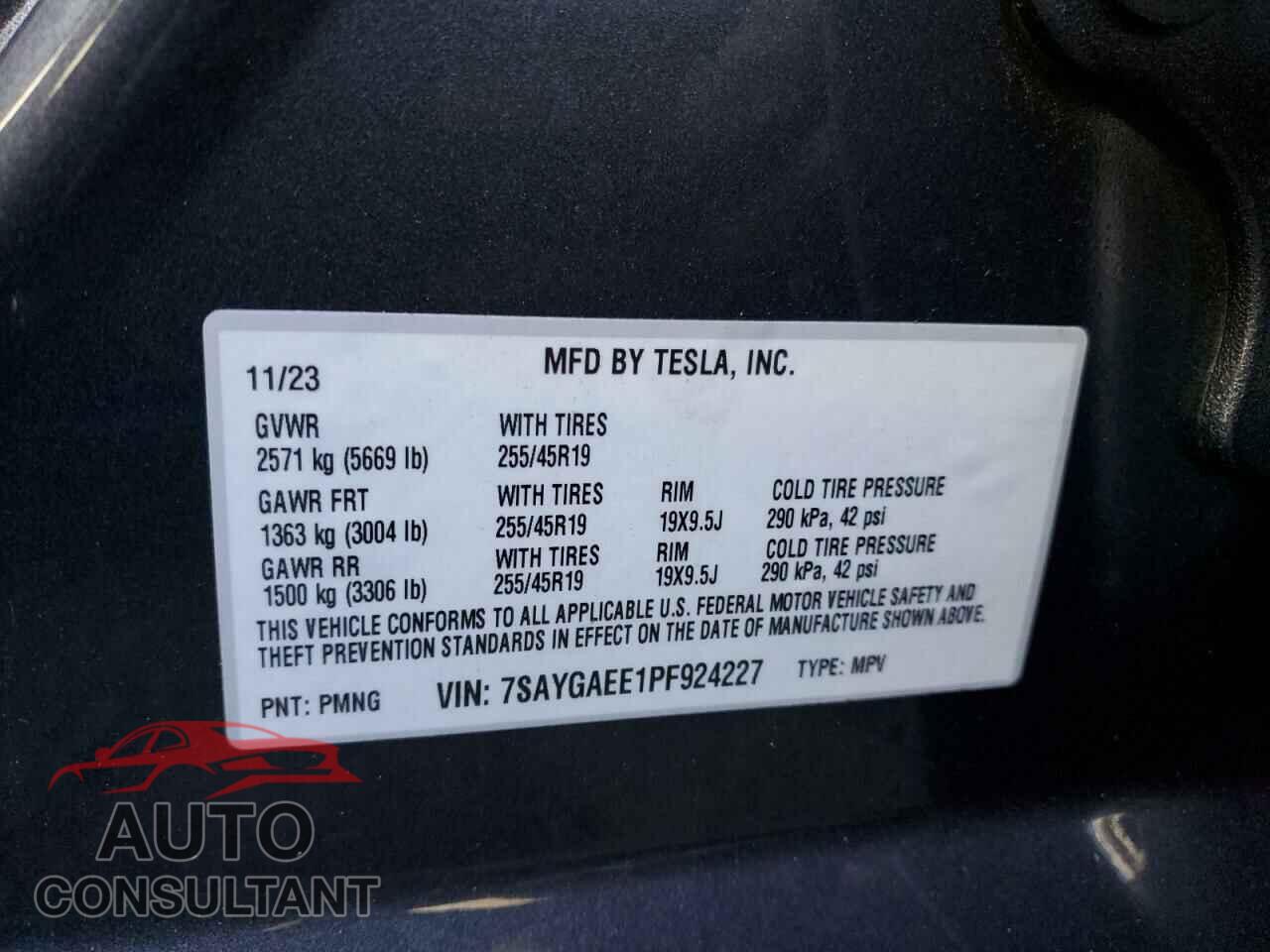 TESLA MODEL Y 2023 - 7SAYGAEE1PF924227