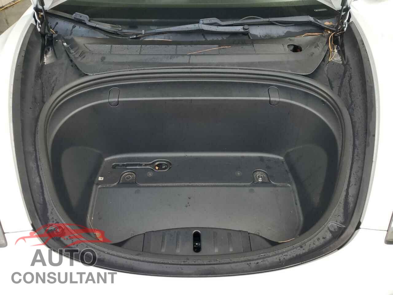 TESLA MODEL 3 2019 - 5YJ3E1EA1KF483749