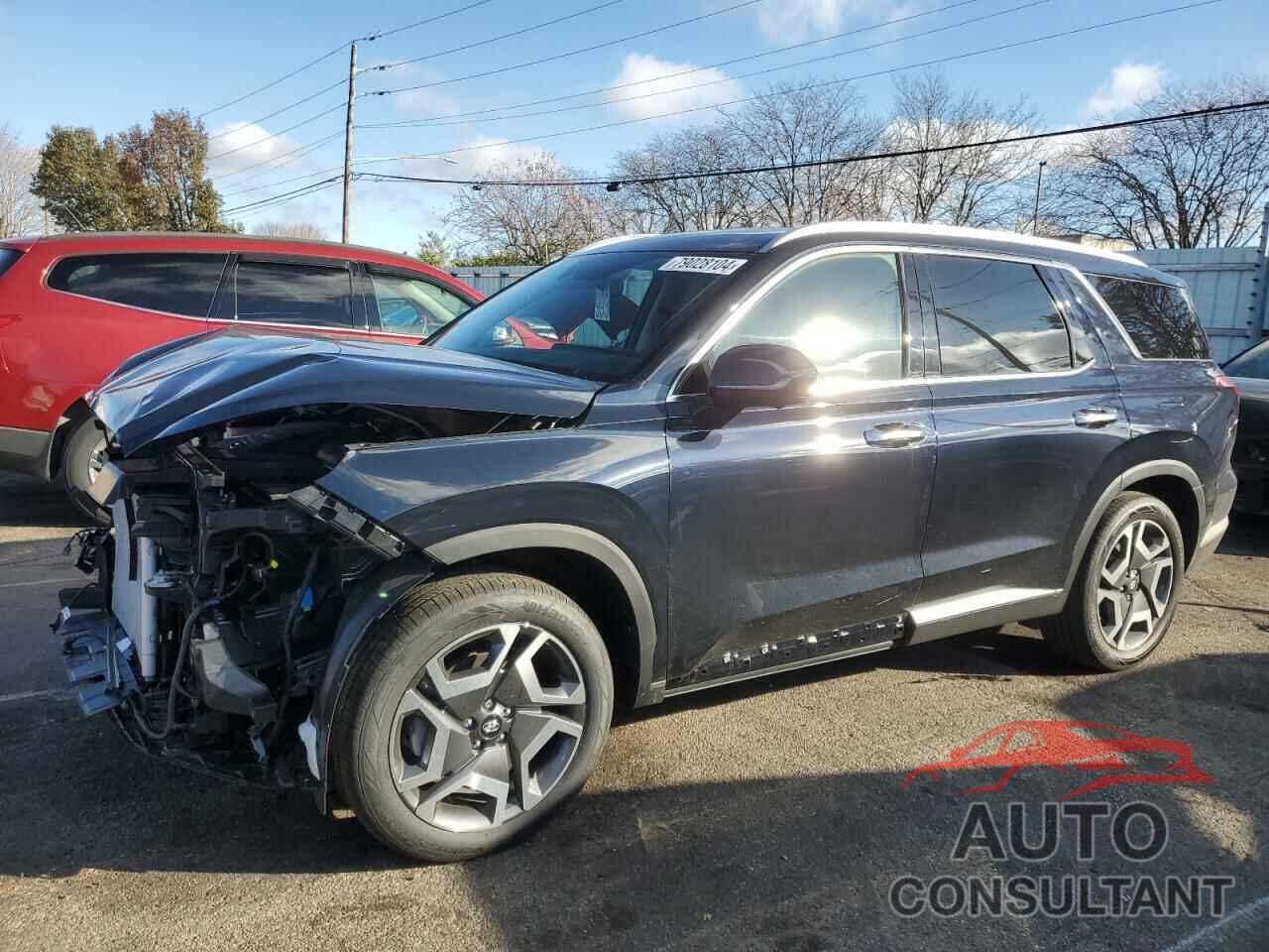 HYUNDAI PALISADE 2024 - KM8R44GE6RU765820