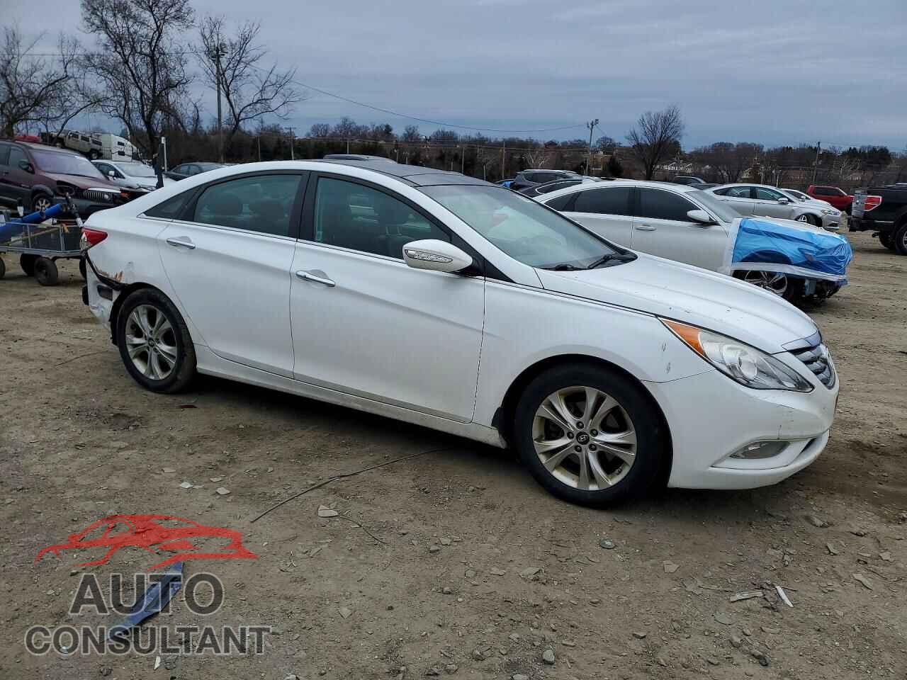 HYUNDAI SONATA 2013 - 5NPEC4AC7DH657688