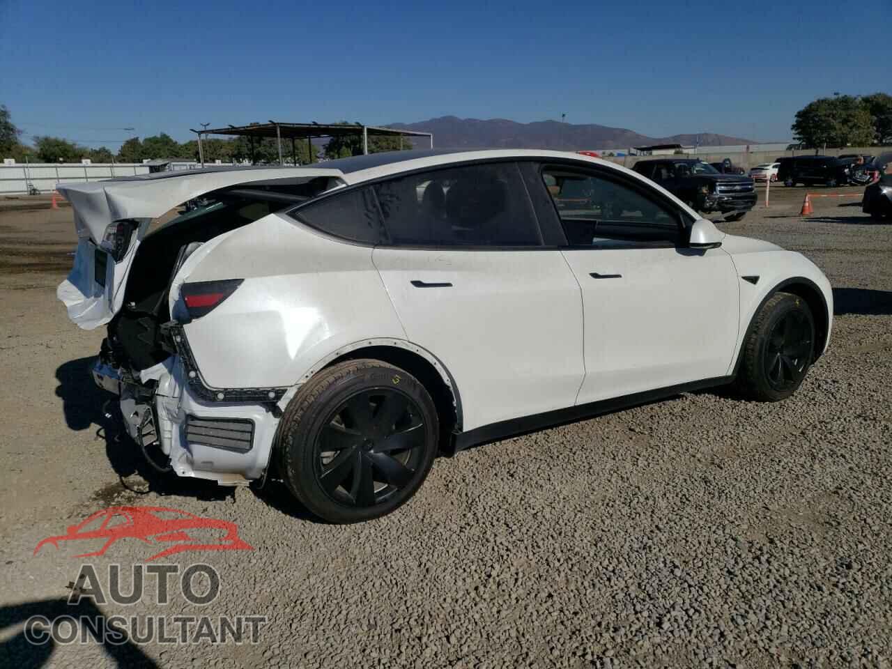 TESLA MODEL Y 2021 - 5YJYGDEEXMF246846