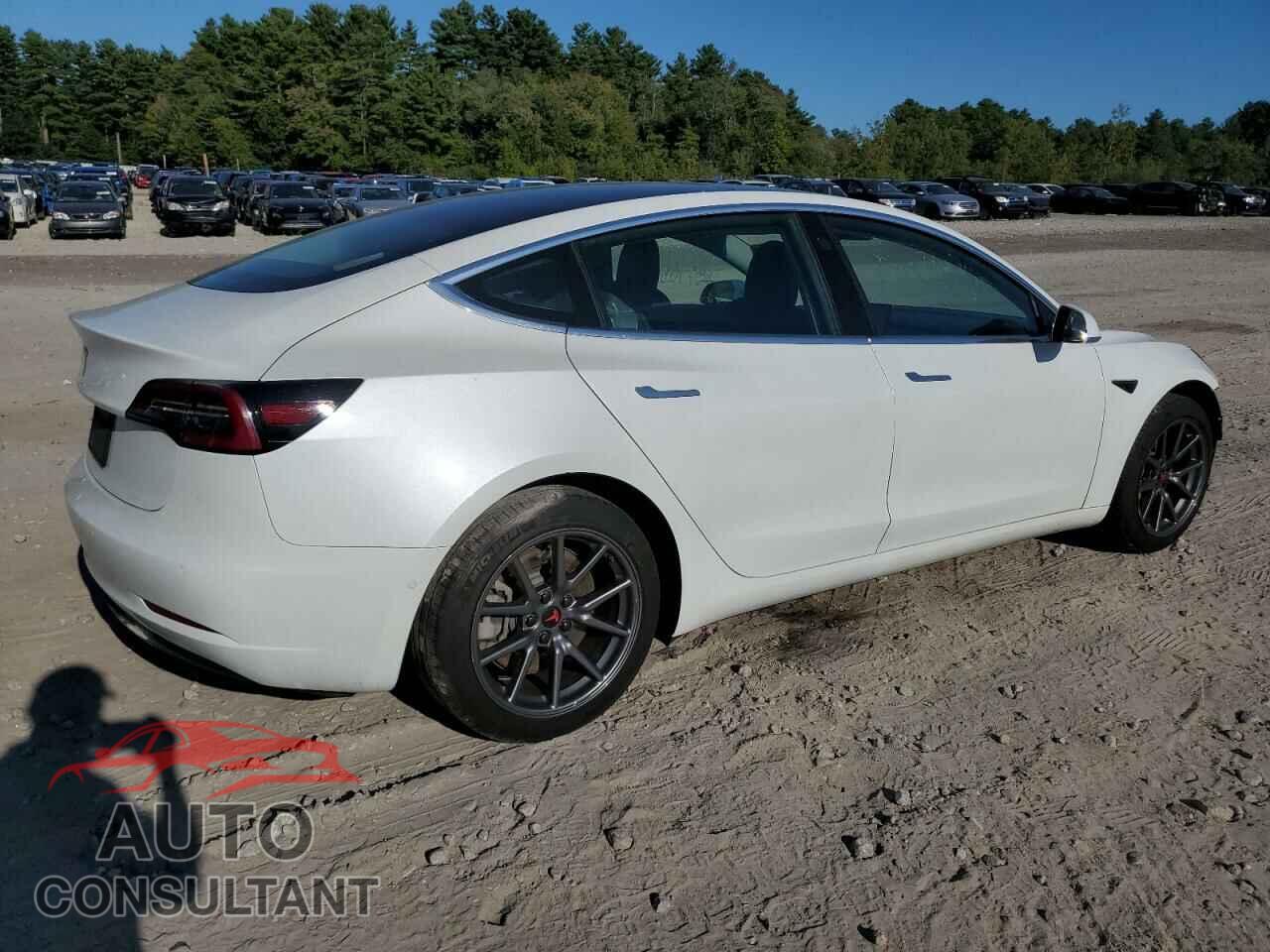 TESLA MODEL 3 2020 - 5YJ3E1EA4LF737021