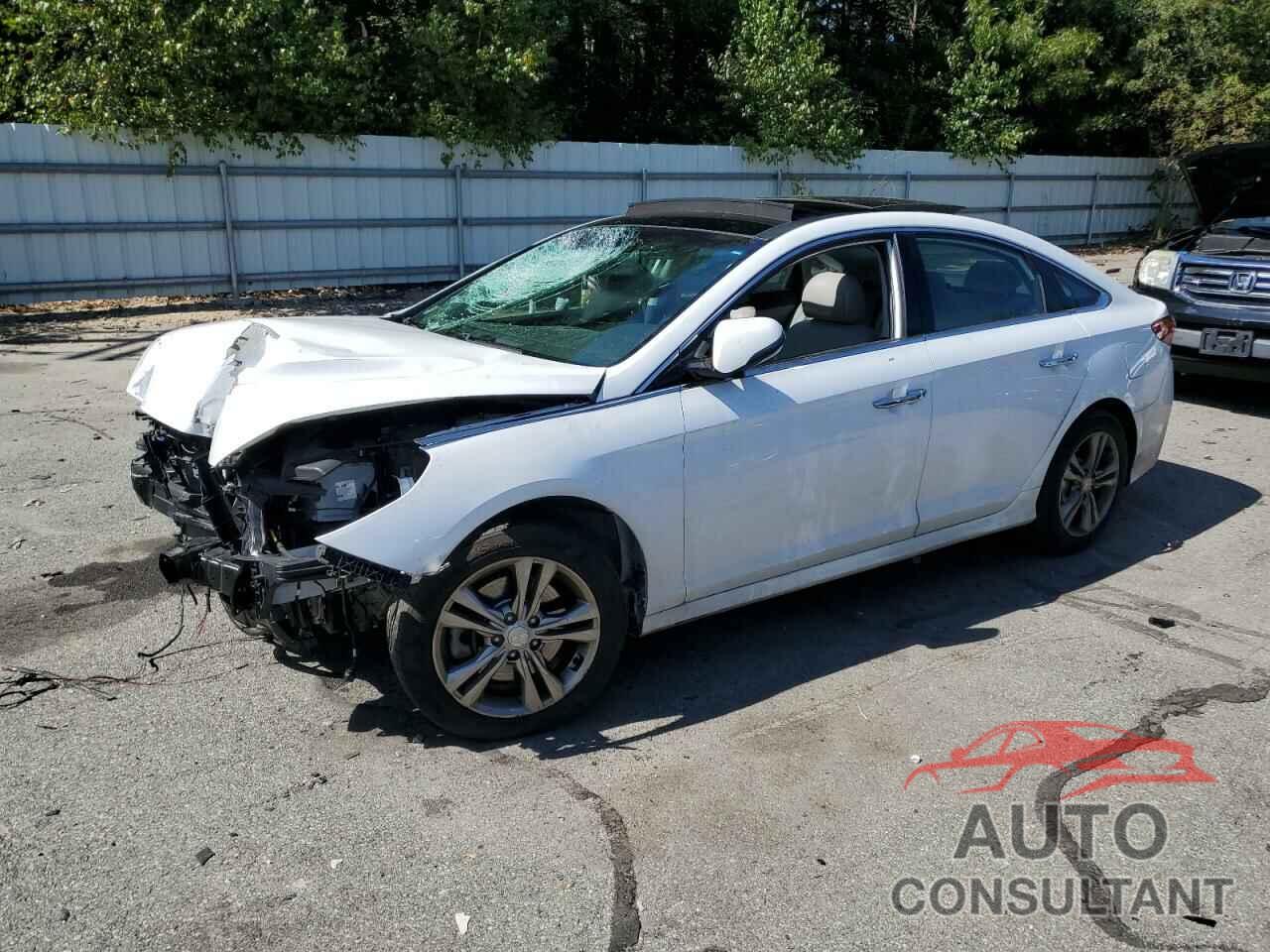 HYUNDAI SONATA 2019 - 5NPE34AF5KH771194