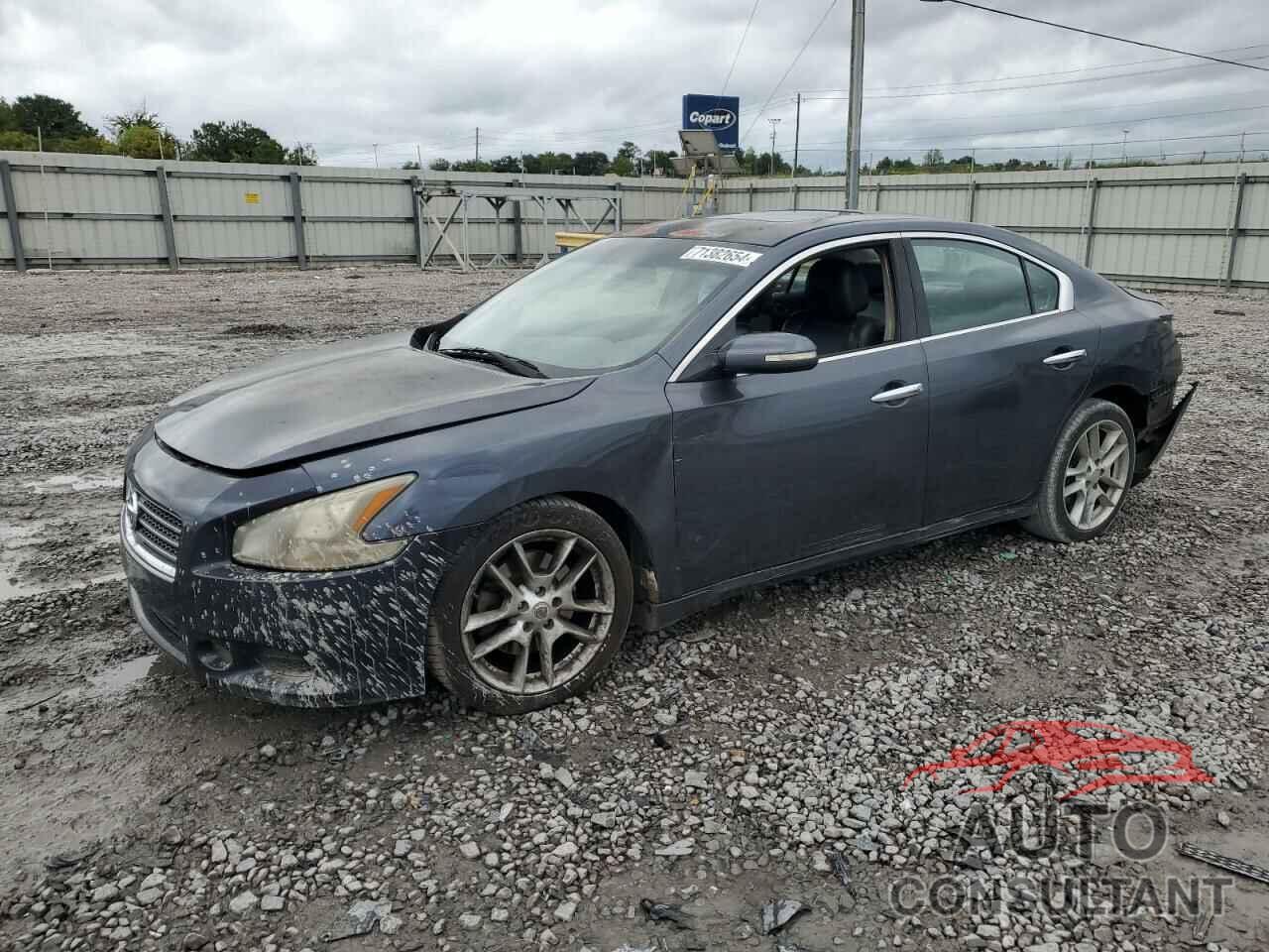 NISSAN MAXIMA 2010 - 1N4AA5APXAC805648