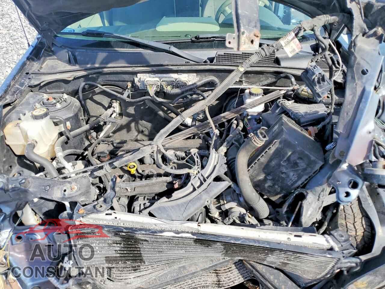 FORD ESCAPE 2012 - 1FMCU0C73CKA04414