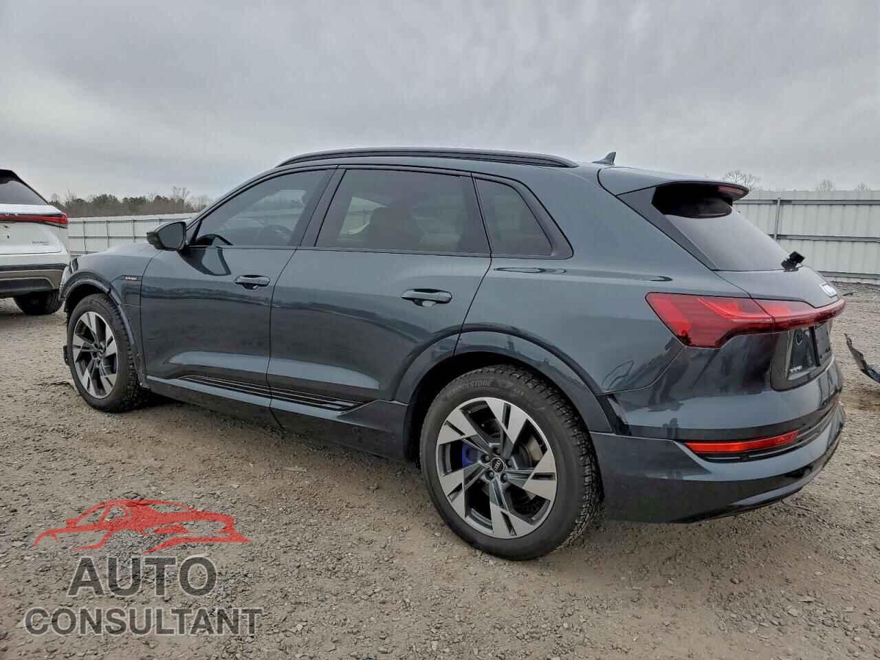AUDI E-TRON 2022 - WA1AAAGEXNB010419