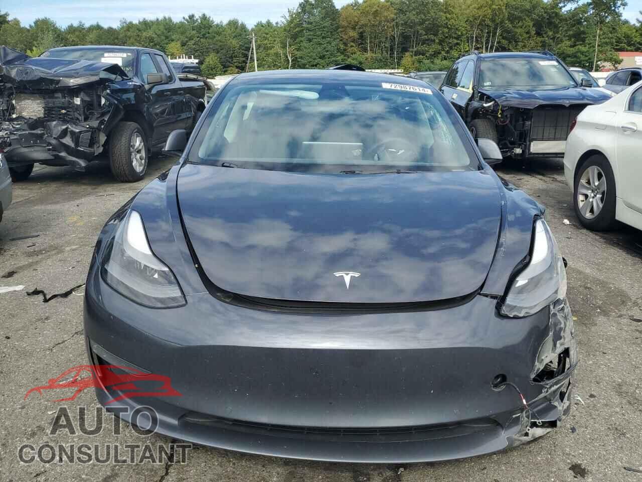 TESLA MODEL 3 2022 - 5YJ3E1EB8NF182876