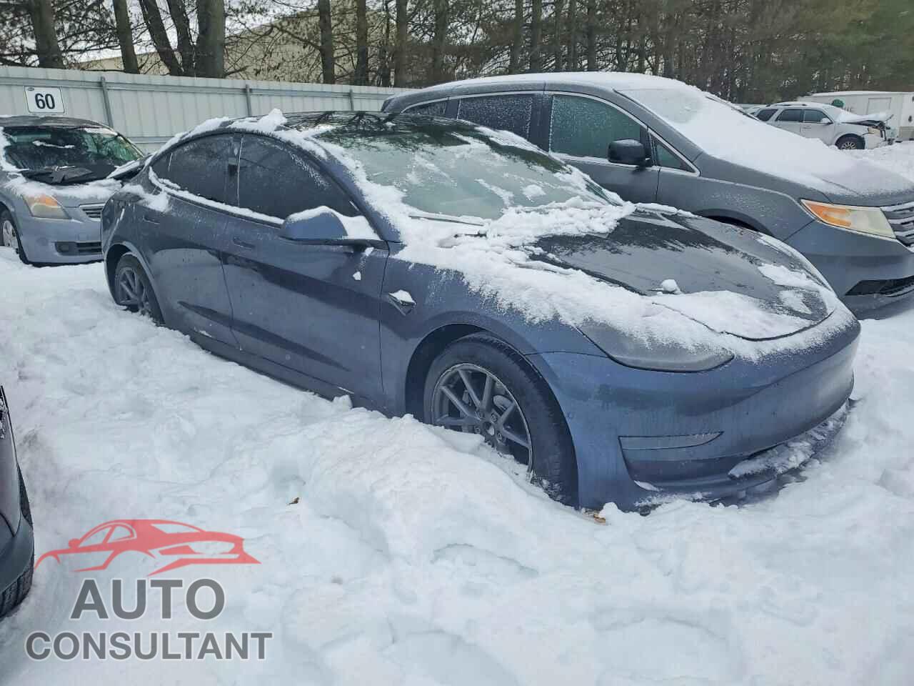 TESLA MODEL 3 2021 - 5YJ3E1EA0MF083555