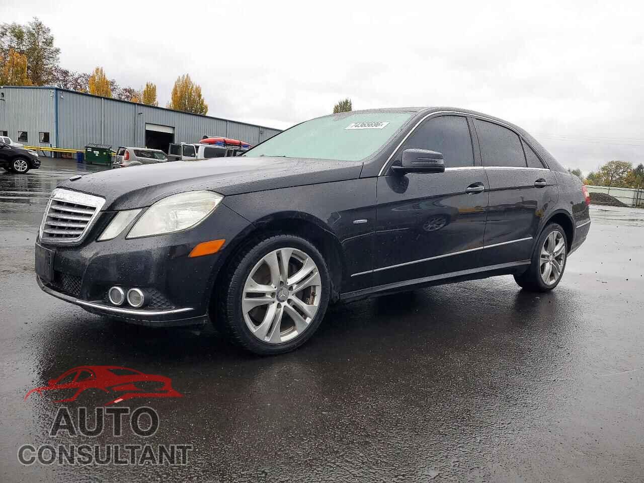 MERCEDES-BENZ E-CLASS 2011 - WDDHF2EB3BA498527