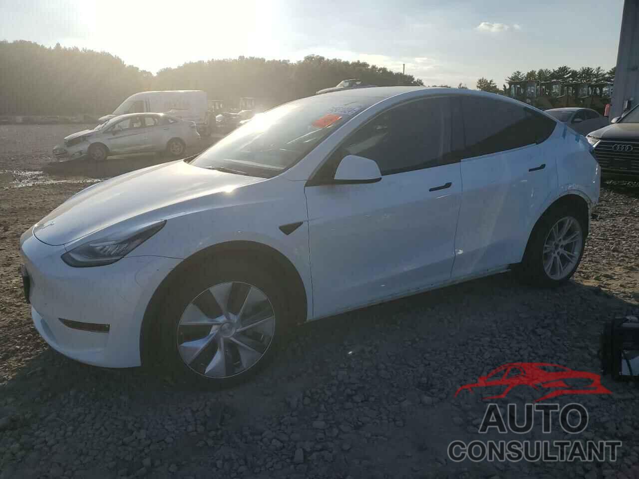 TESLA MODEL Y 2023 - 7SAYGDEEXPA104856