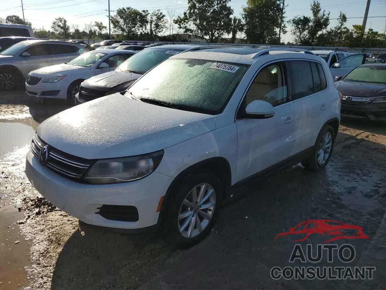 VOLKSWAGEN TIGUAN 2017 - WVGRV7AX2HK003782