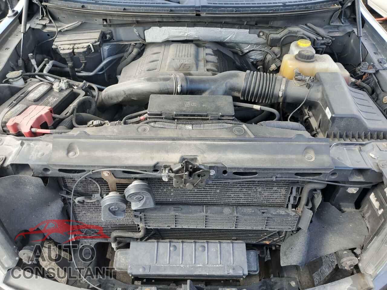 FORD F-150 2013 - 1FTFX1ET4DFD89209