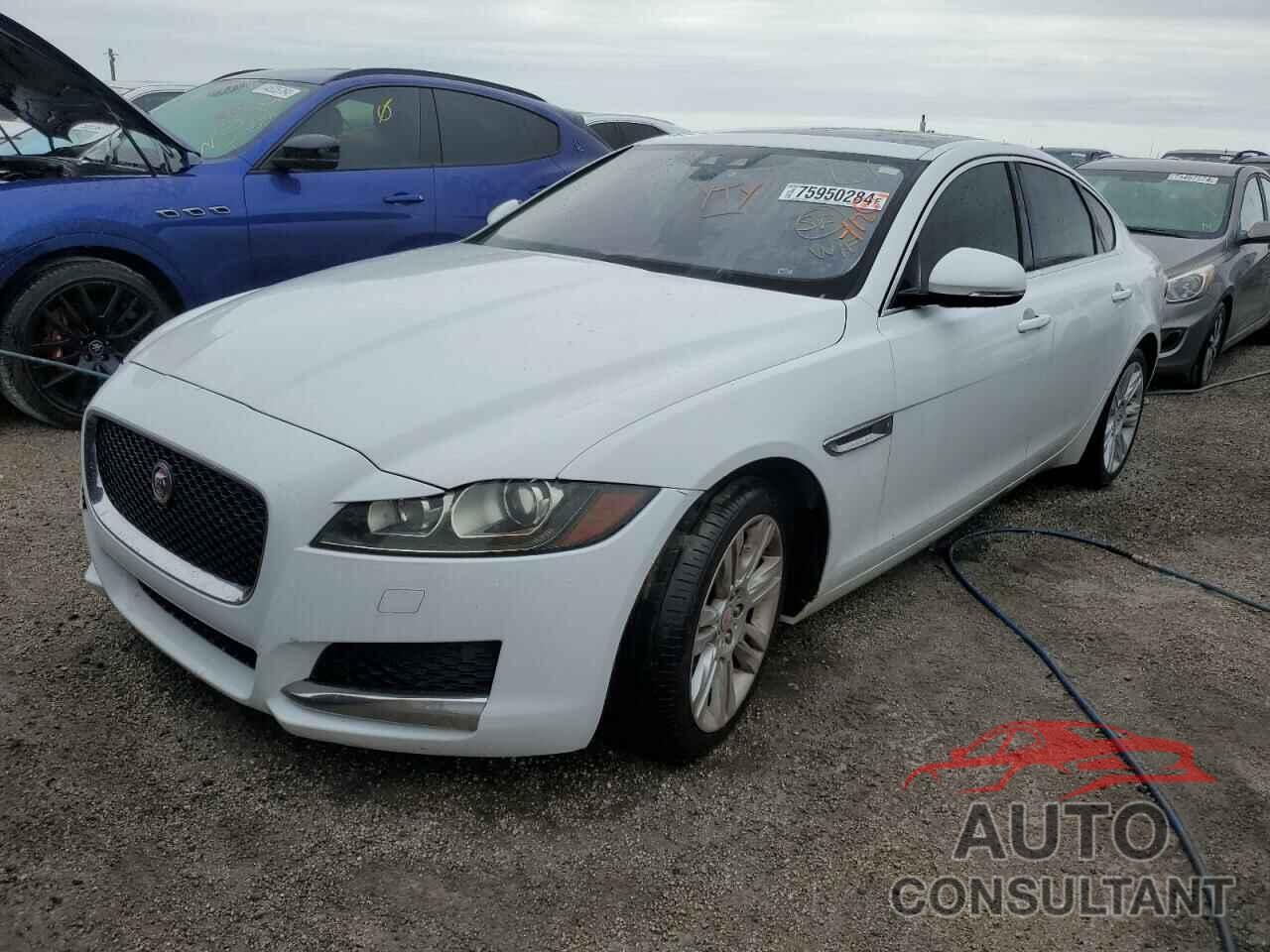 JAGUAR XF 2016 - SAJBD4BV9GCY11707