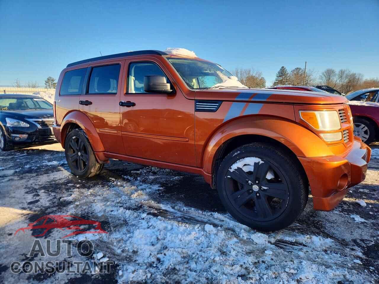 DODGE NITRO 2011 - 1D4PU6GX2BW563904
