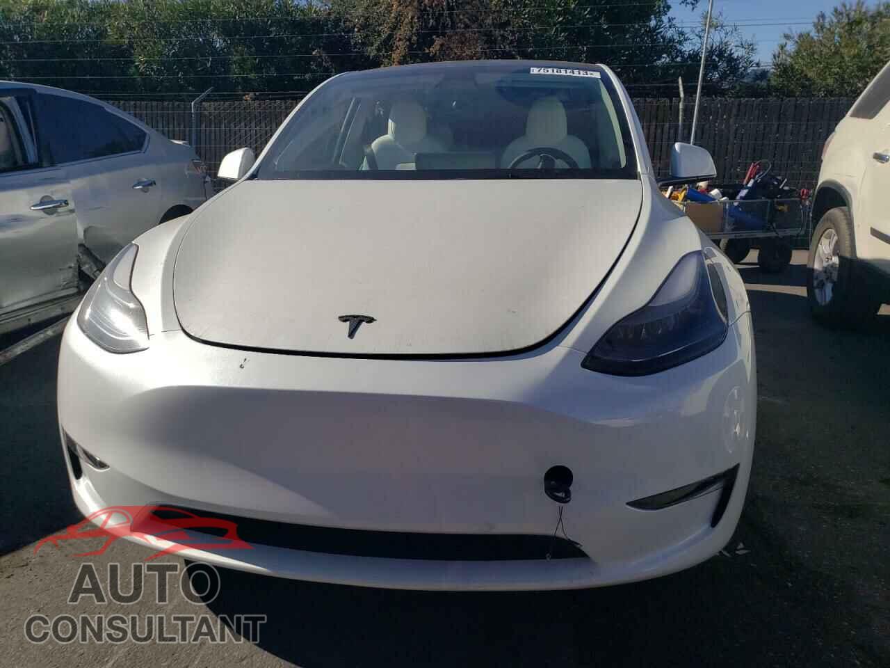 TESLA MODEL Y 2023 - 7SAYGDEF0PF754856