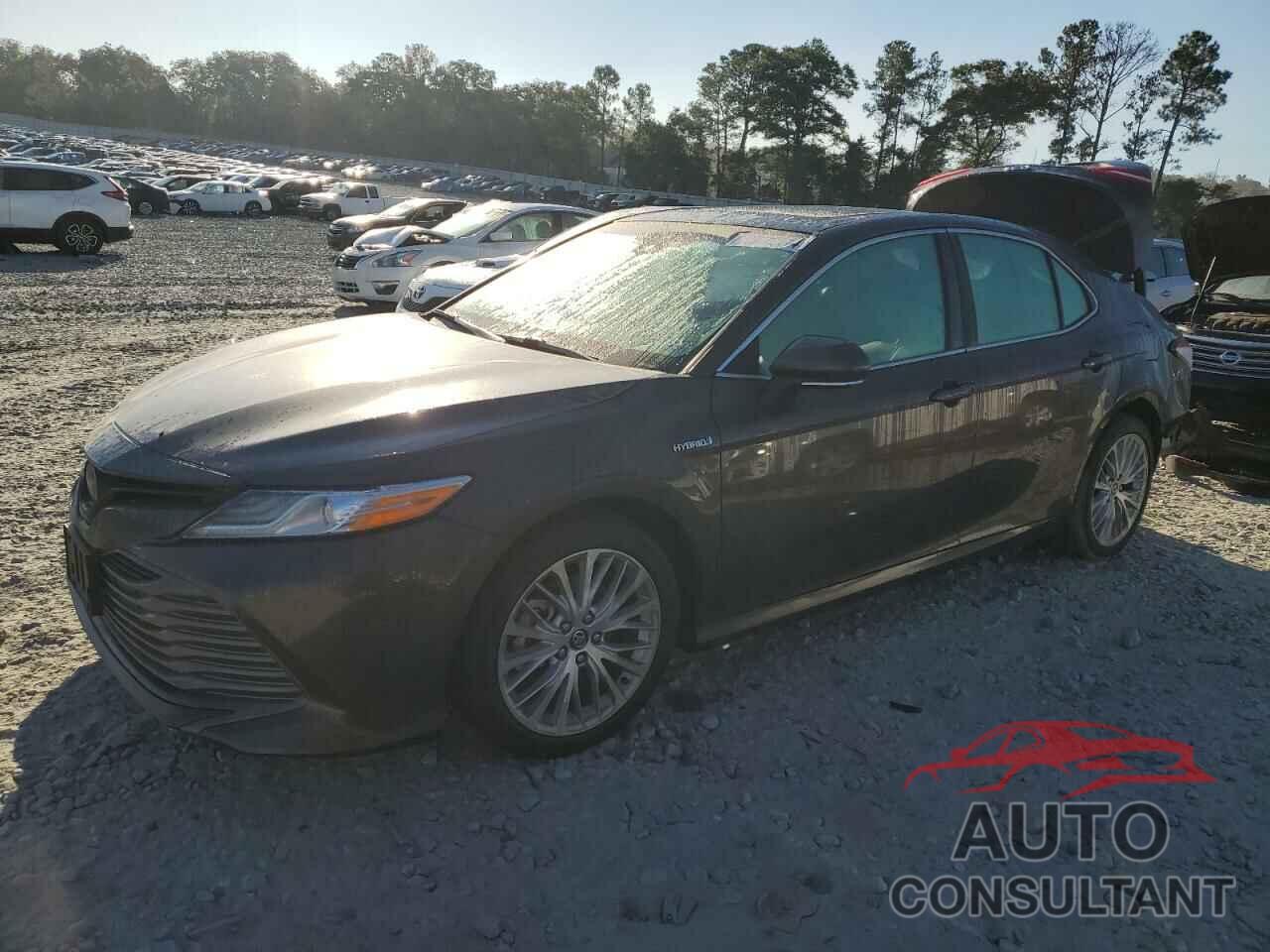 TOYOTA CAMRY 2020 - 4T1F31AK7LU525329