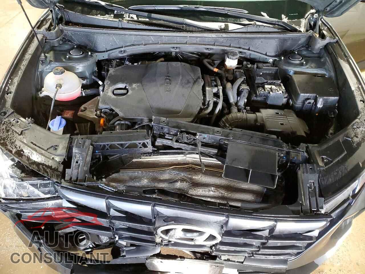 HYUNDAI TUCSON 2022 - 5NMJBCAEXNH159335