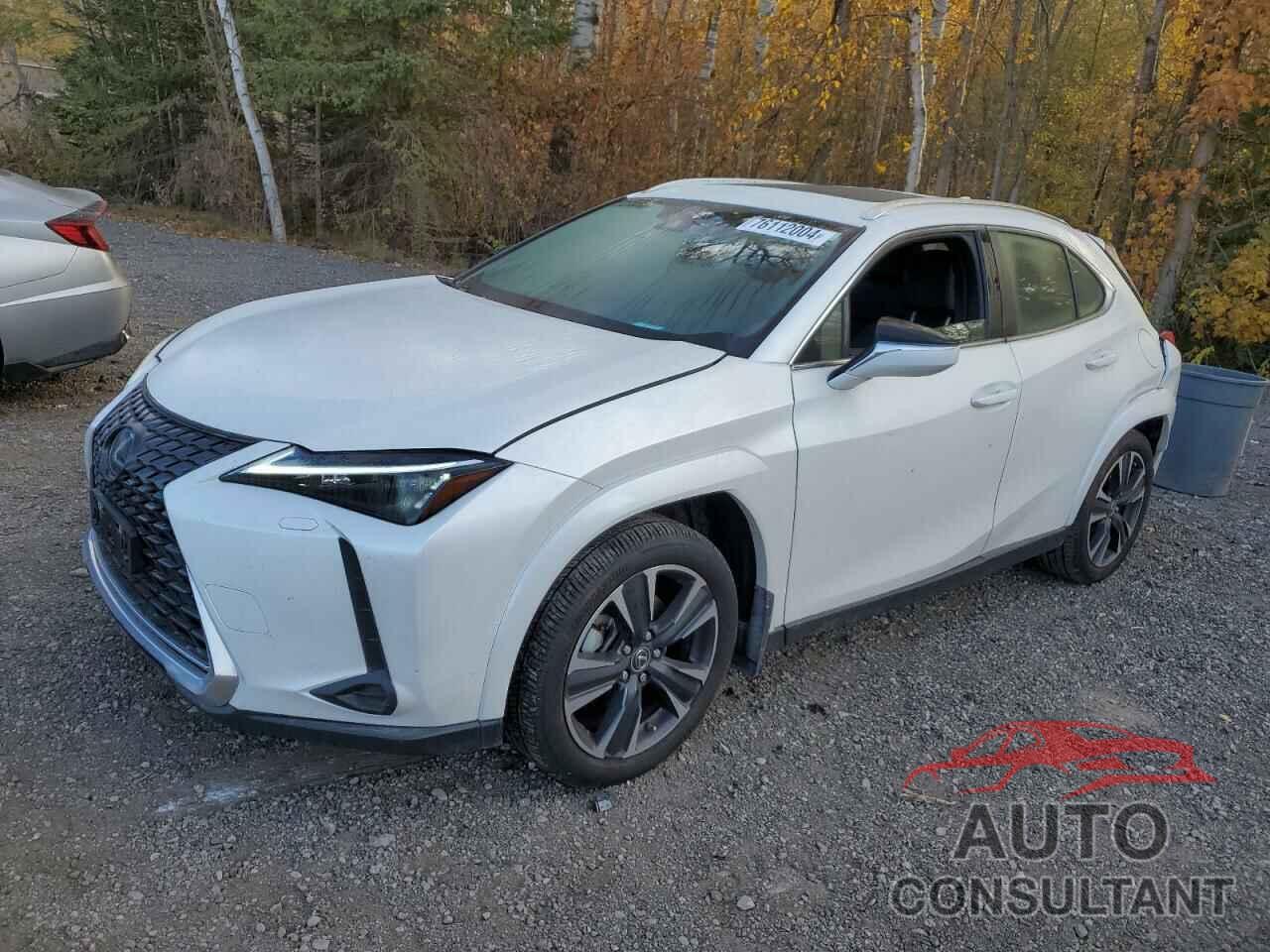 LEXUS UX 250H PR 2024 - JTHP9JBHXR2077083