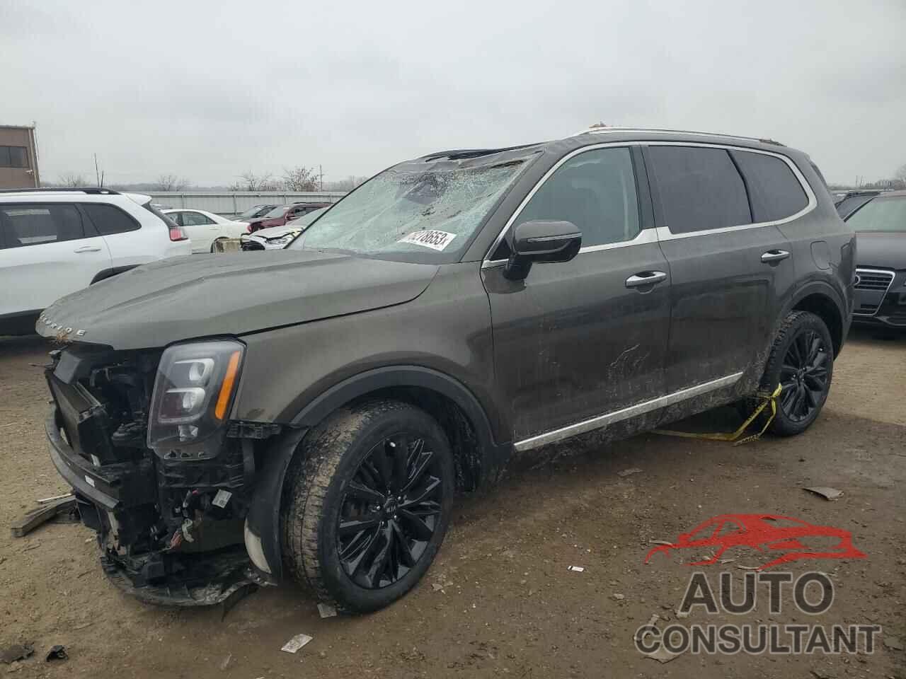 KIA TELLURIDE 2020 - 5XYP5DHC6LG003442