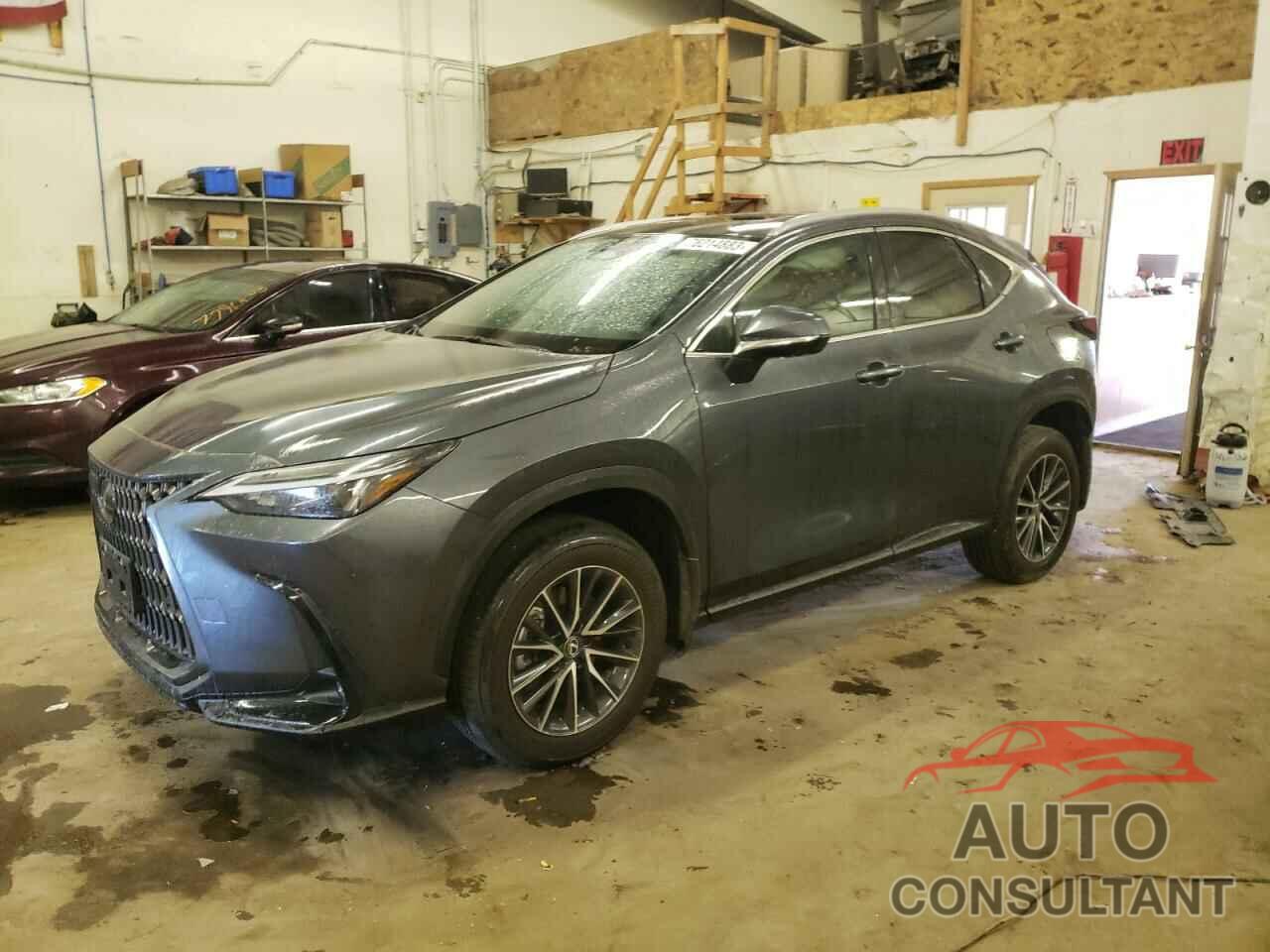 LEXUS NX 350H BA 2024 - 2T2GKCEZ7RC019287