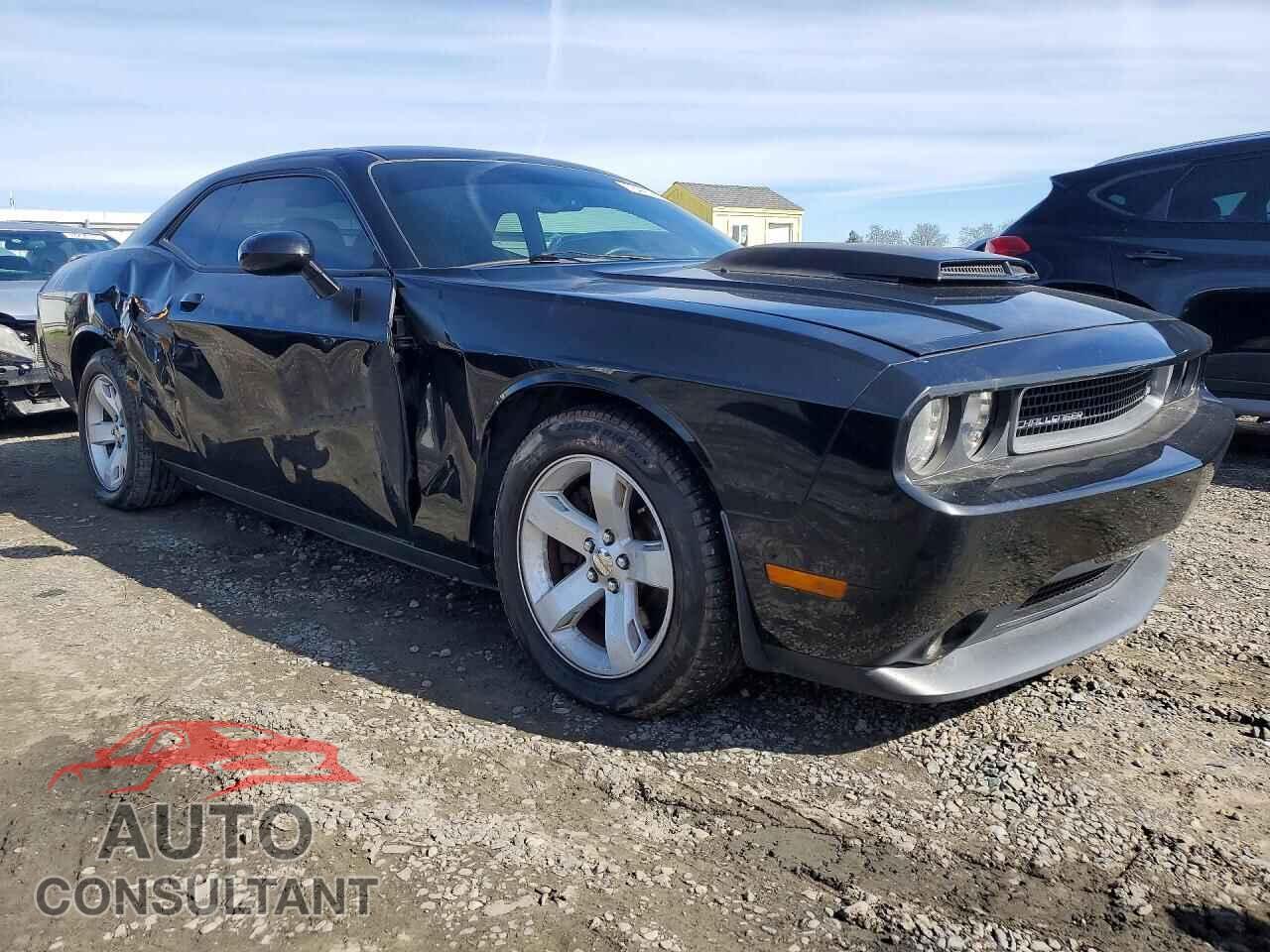 DODGE CHALLENGER 2012 - 2C3CDYBT1CH259382