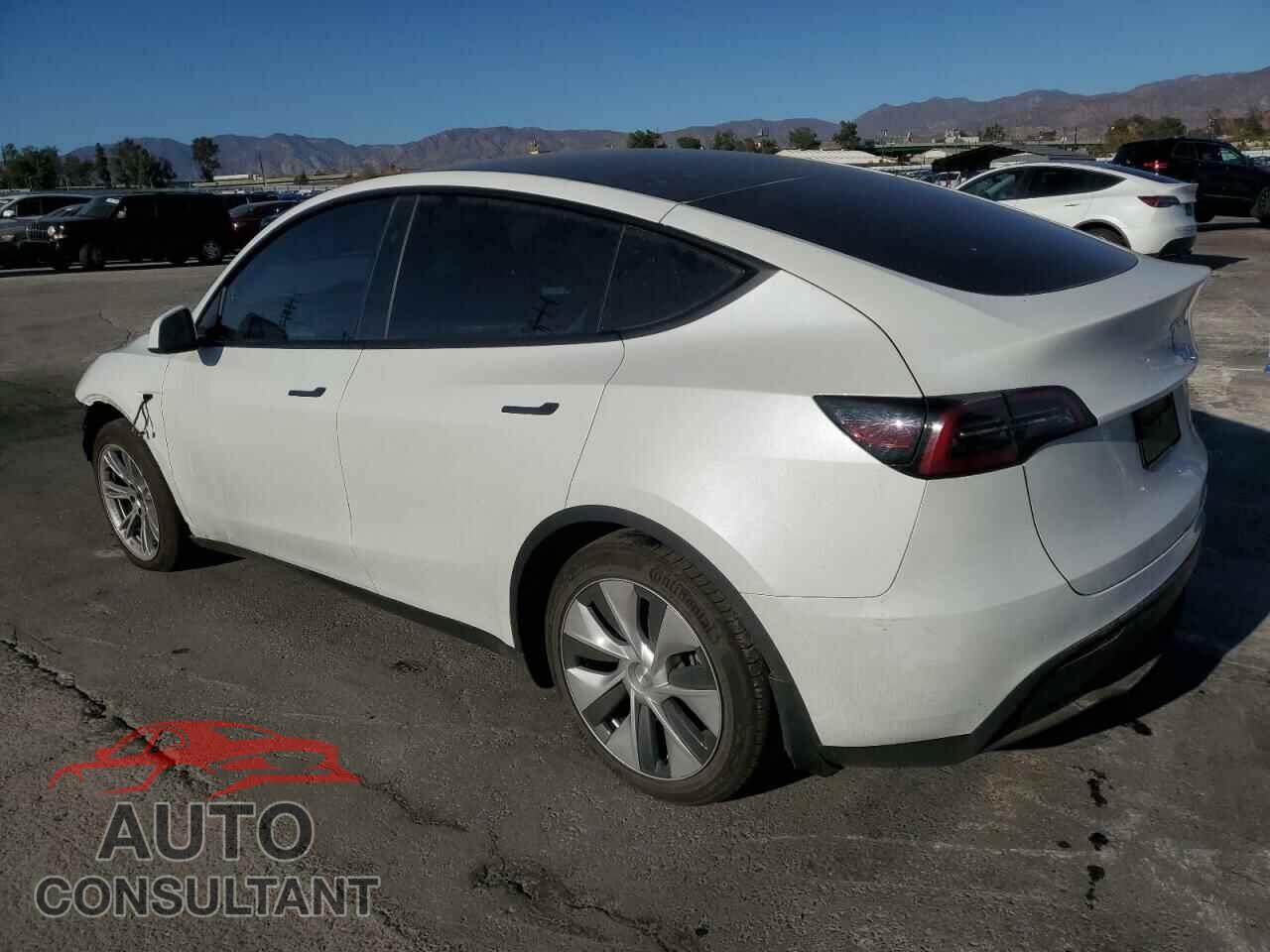 TESLA MODEL Y 2024 - 7SAYGAEE8RF016618