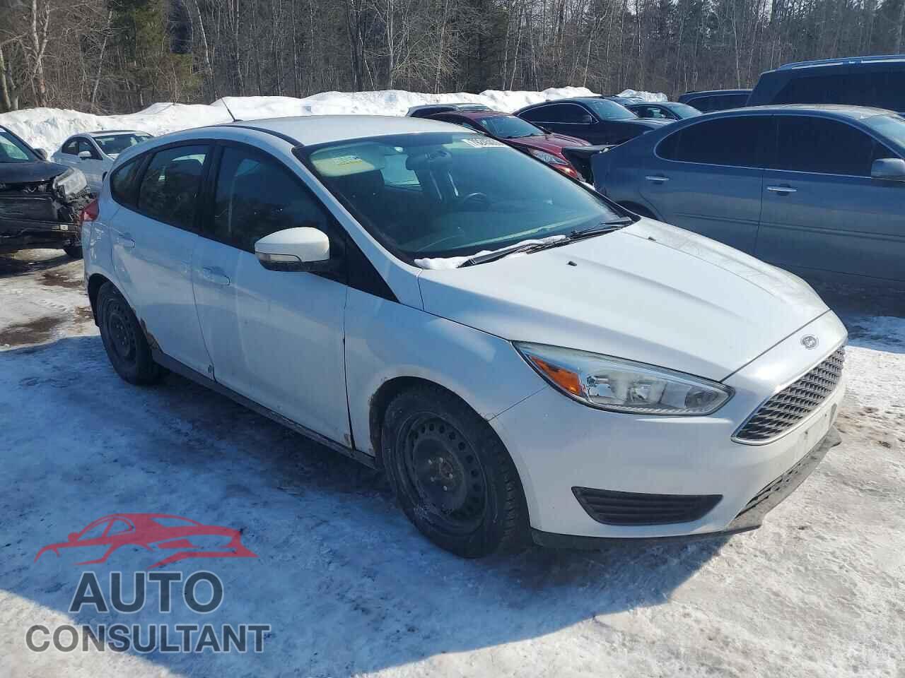 FORD FOCUS 2016 - 1FADP3K28GL333560