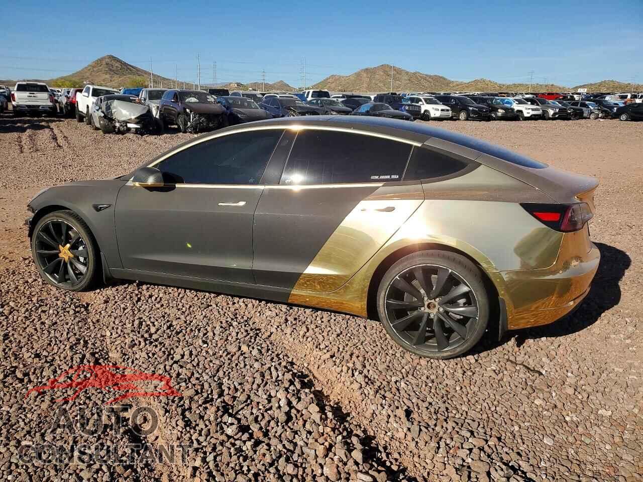 TESLA MODEL 3 2019 - 5YJ3E1EA1KF509038