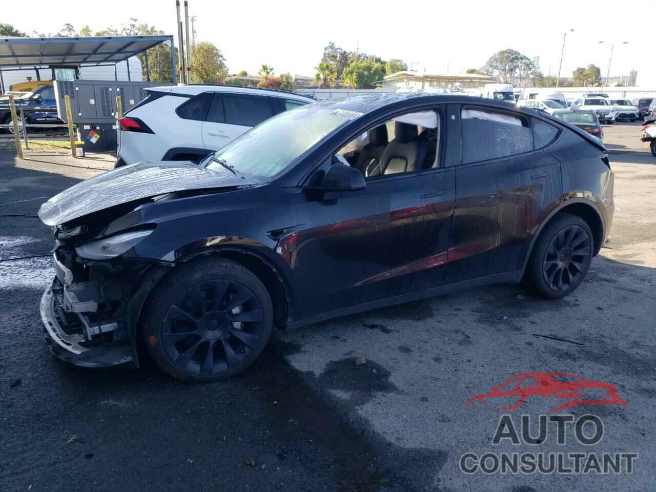 TESLA MODEL Y 2022 - 7SAYGDEE0NF481163