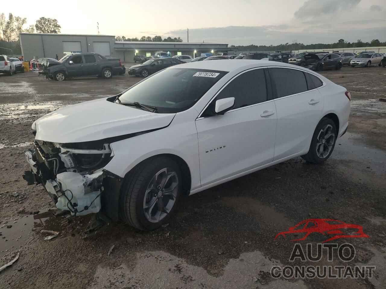 CHEVROLET MALIBU 2020 - 1G1ZD5ST4LF111998