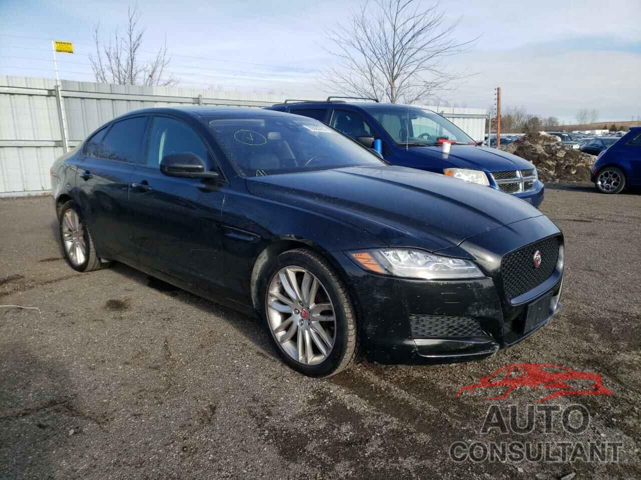 JAGUAR XF 2016 - SAJBK4BV9GCY12054