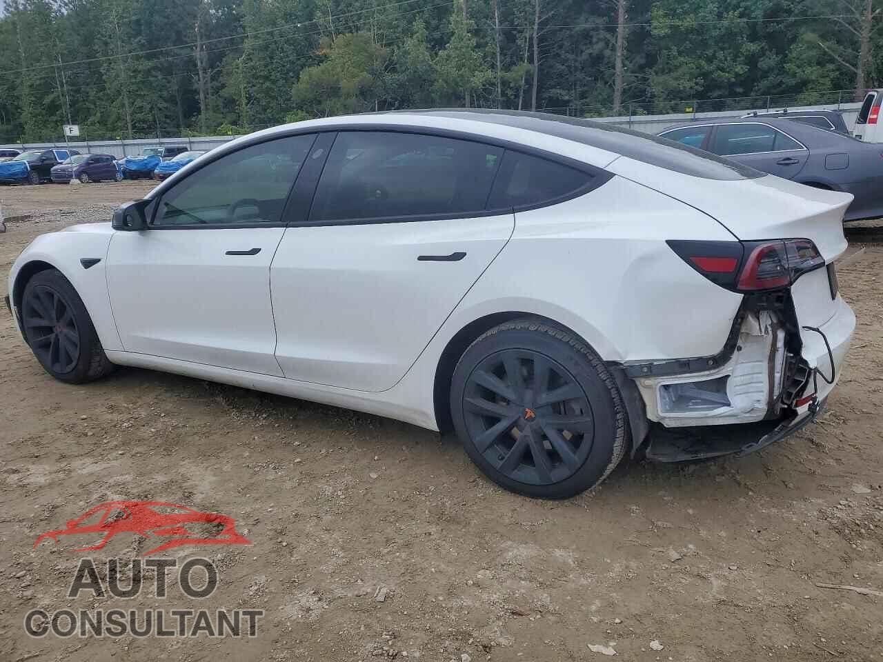 TESLA MODEL 3 2020 - 5YJ3E1EA5LF598002