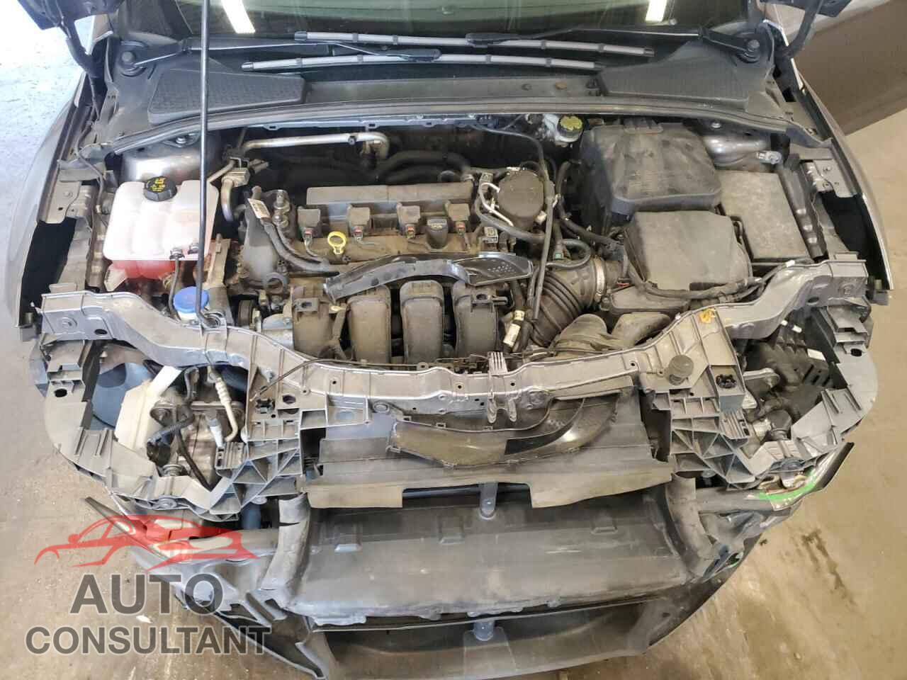 FORD FOCUS 2014 - 1FADP3F20EL431697