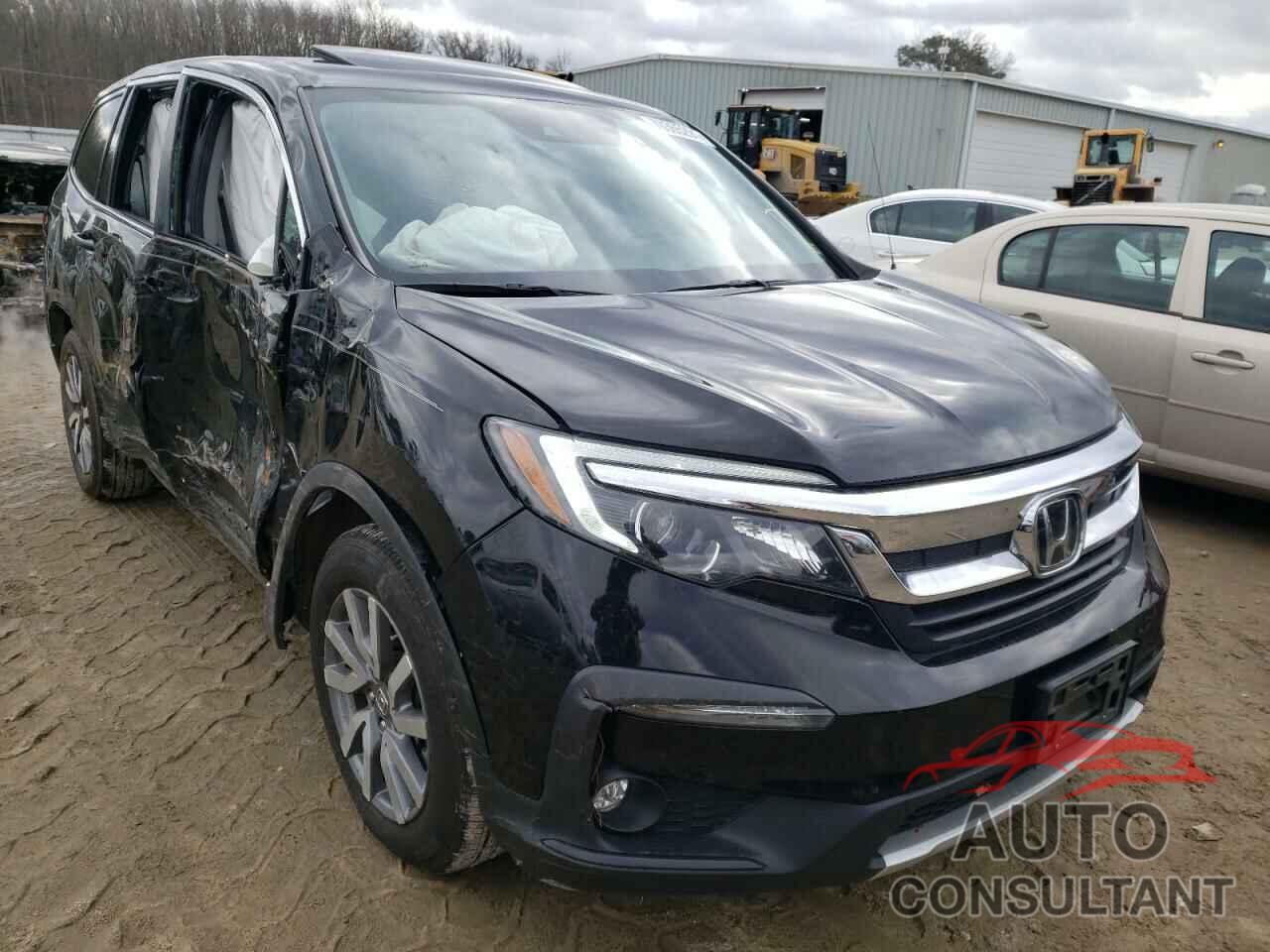 HONDA PILOT 2019 - 5FNYF5H55KB033496