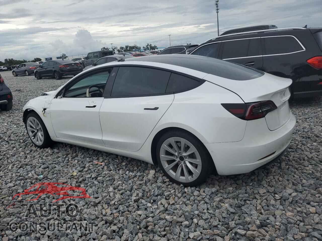 TESLA MODEL 3 2021 - 5YJ3E1EA3MF856731