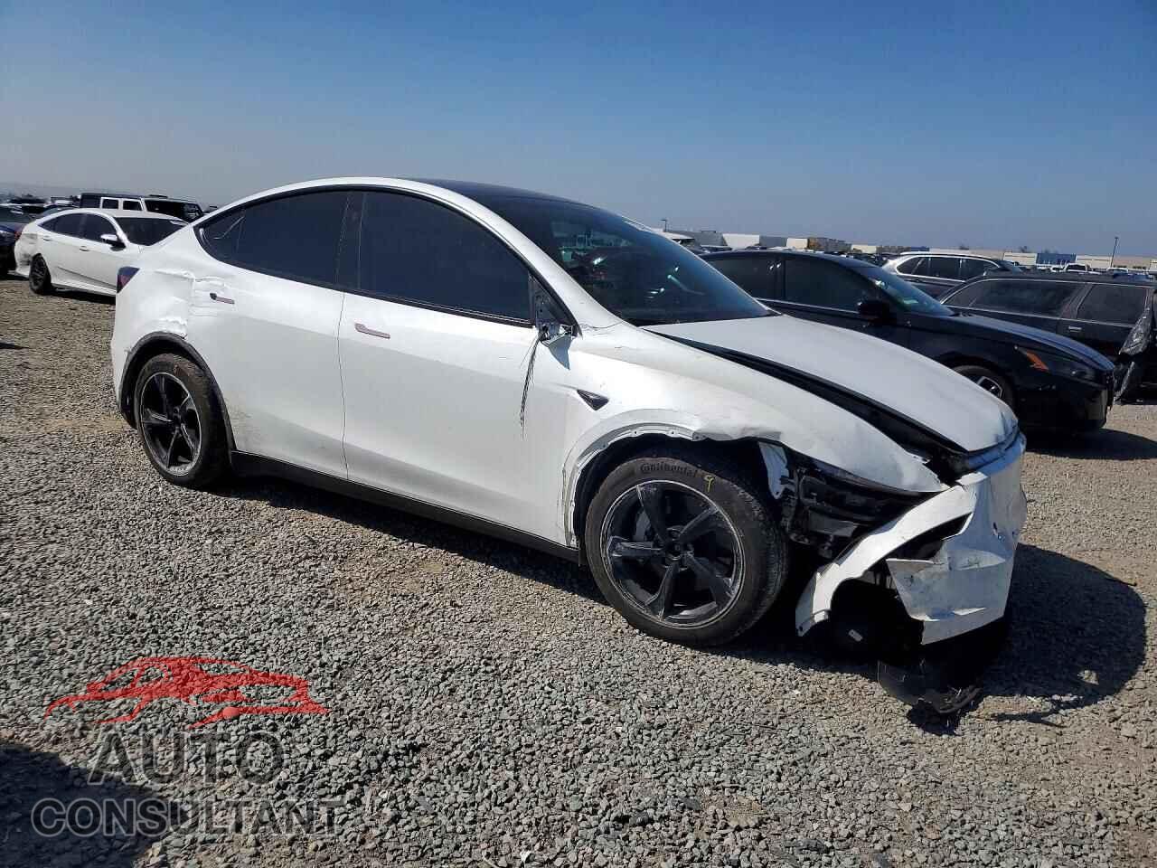 TESLA MODEL Y 2026 - 7SAYGDEE8TF374326