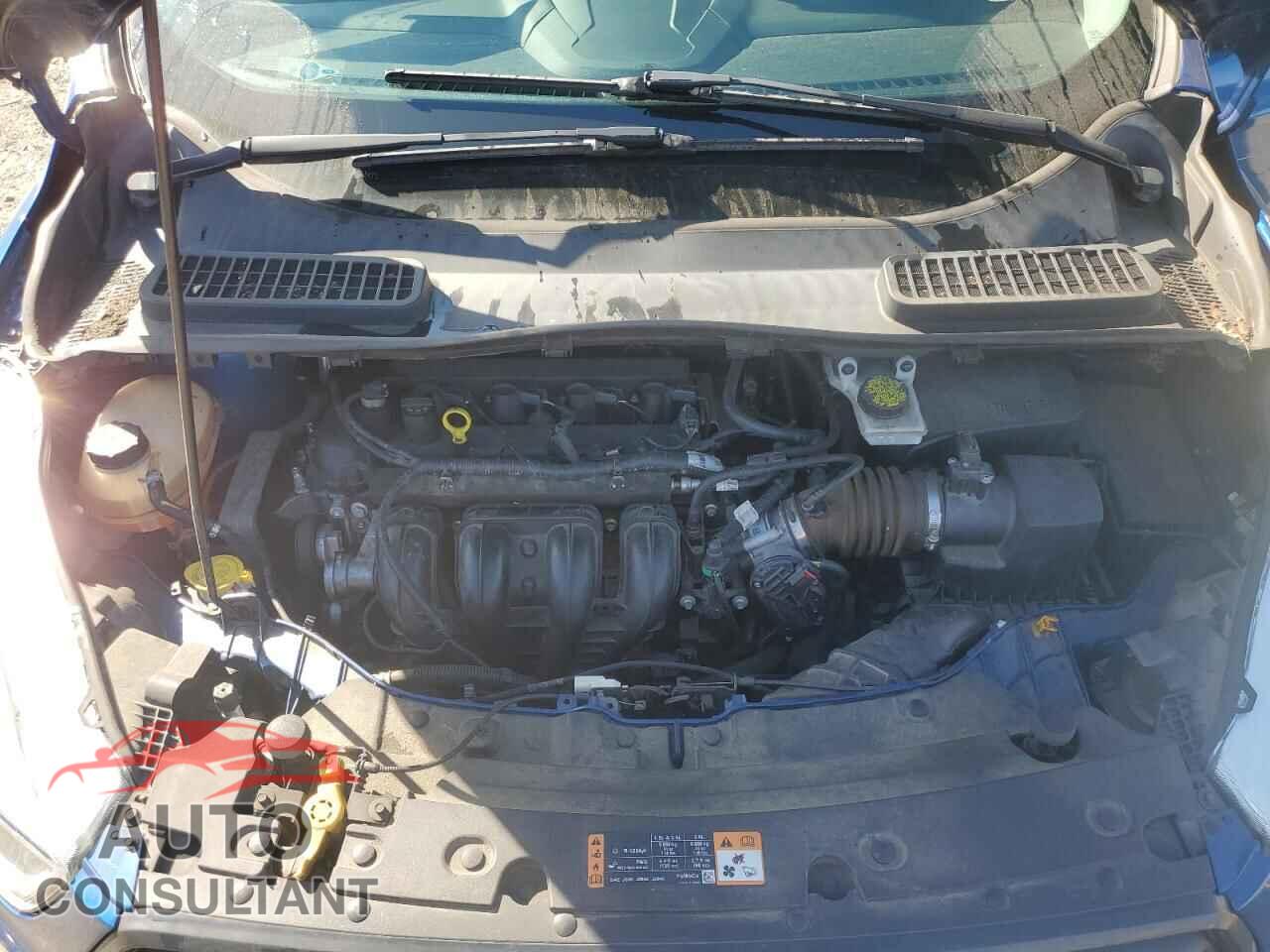 FORD ESCAPE 2017 - 1FMCU0F71HUC44357