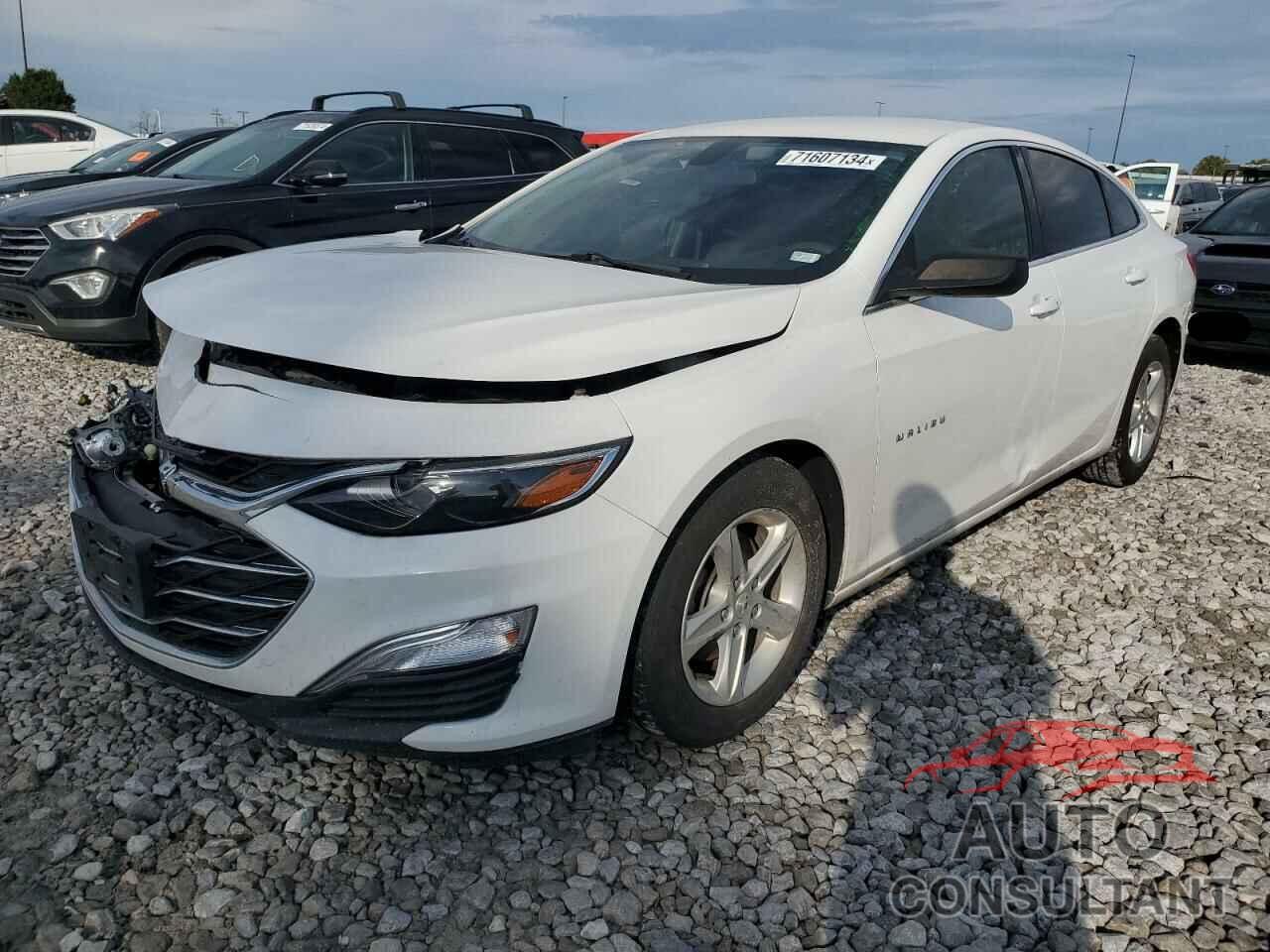 CHEVROLET MALIBU 2019 - 1G1ZB5ST8KF126735