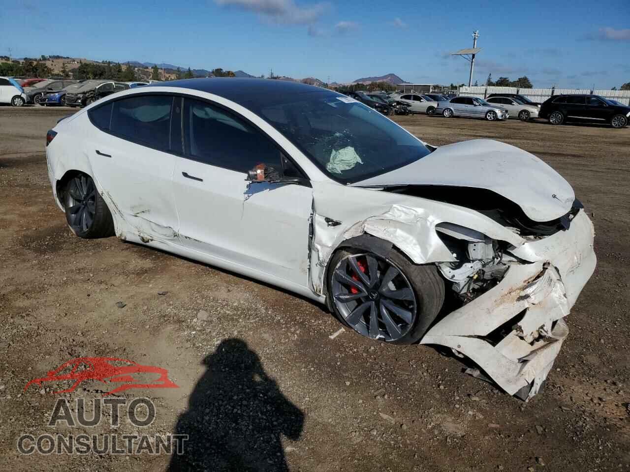 TESLA MODEL 3 2019 - 5YJ3E1EB1KF425665