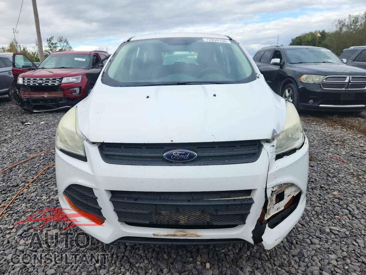 FORD ESCAPE 2013 - 1FMCU0F71DUC84366