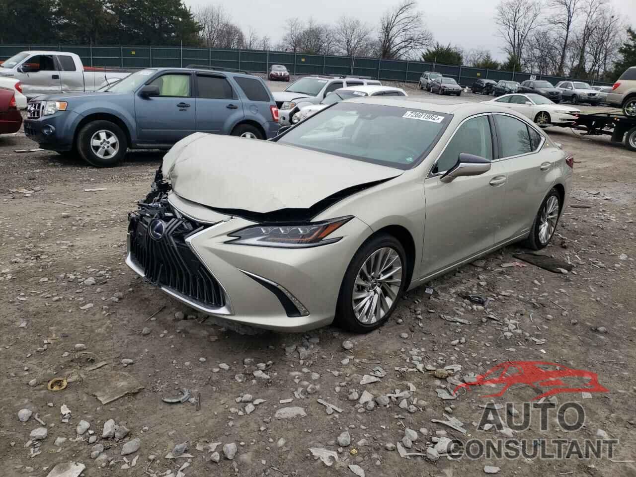 LEXUS ES300 2021 - 58AFA1C1XMU001709