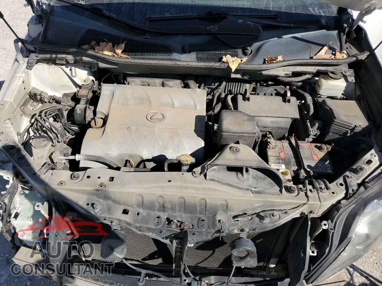 LEXUS RX350 2011 - 2T2BK1BA3BC107918