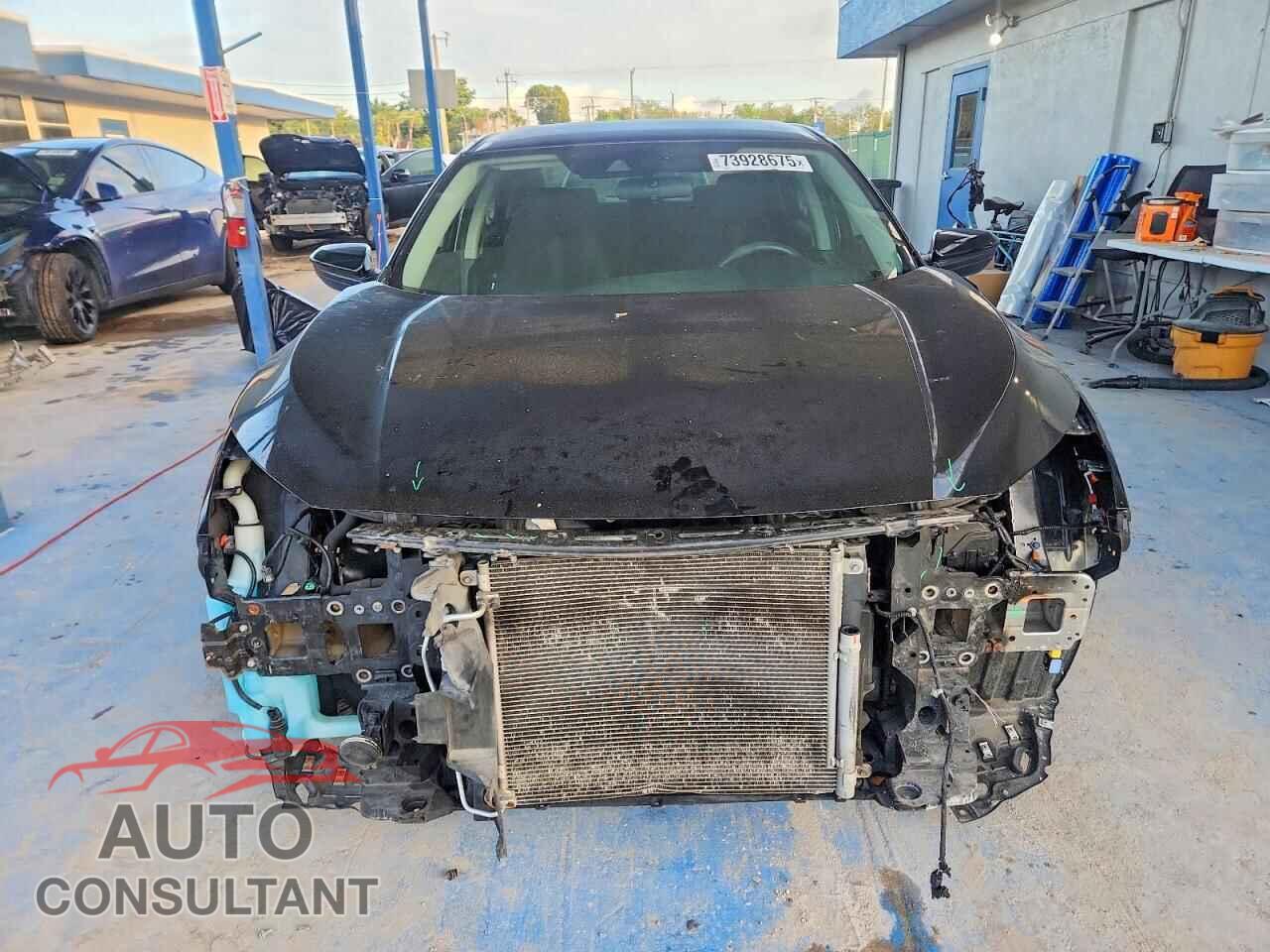 HONDA CIVIC 2019 - 2HGFC2F68KH513456