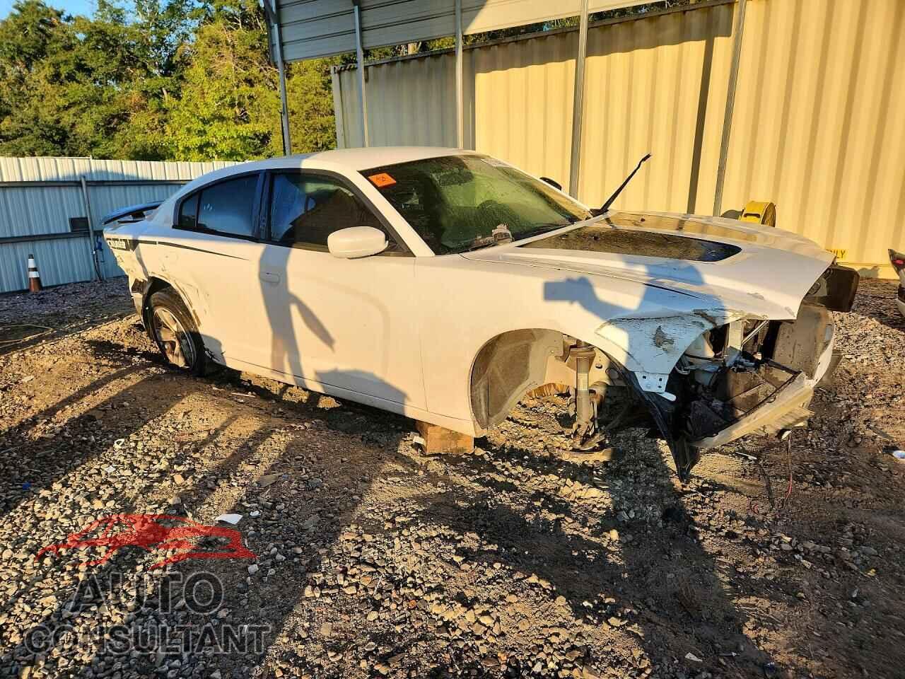 DODGE CHARGER 2014 - 2C3CDXBG0EH112972
