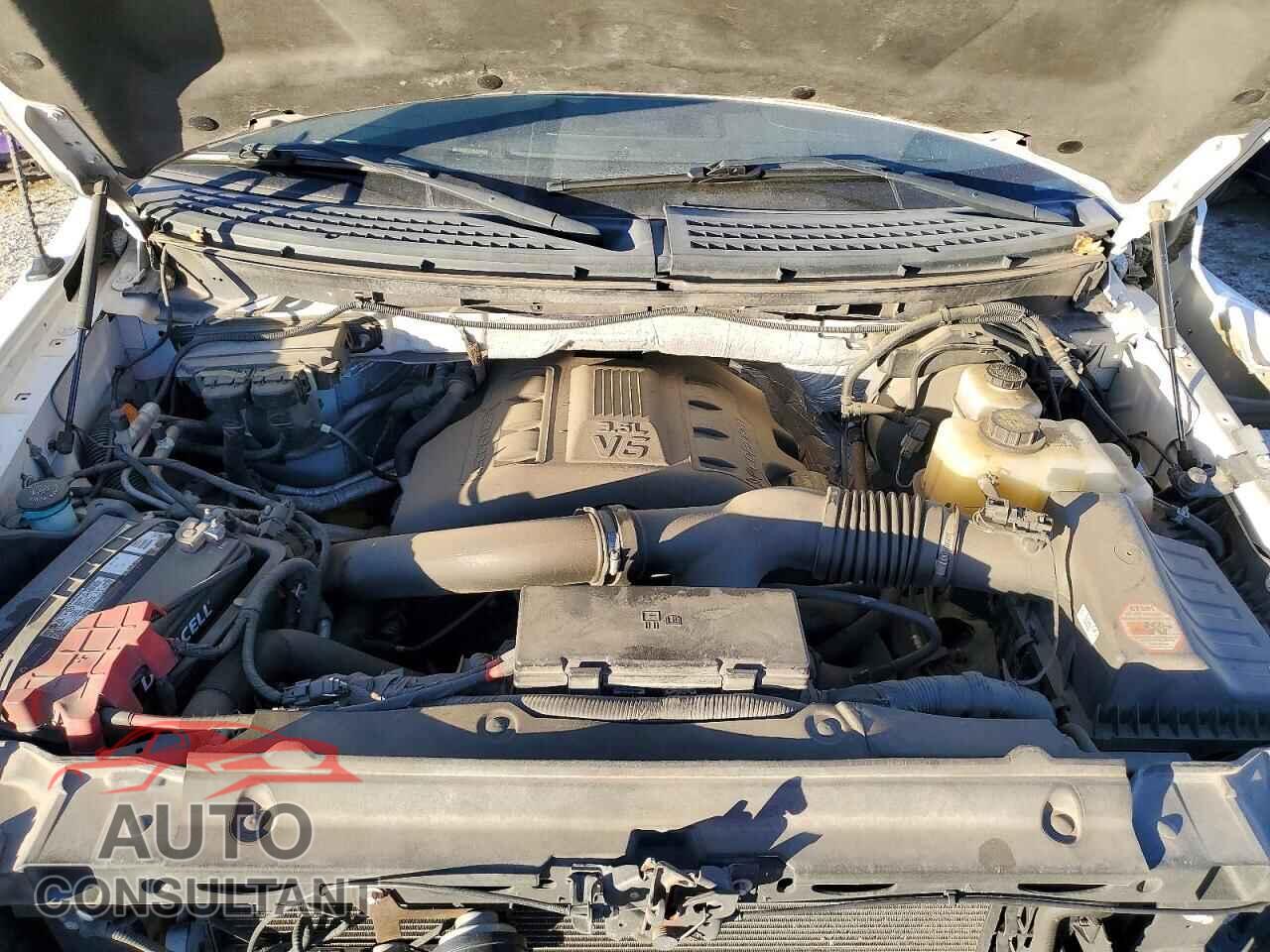 FORD F-150 2012 - 1FTFW1ET5CFB52844