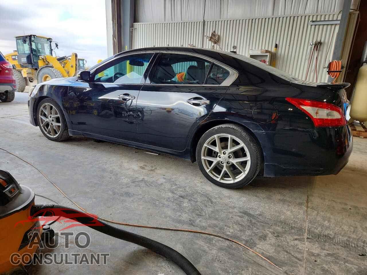 NISSAN MAXIMA 2009 - 1N4AA51E59C823842